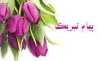 ارتقاء رتبه علمی خانم دکتر فرشته مهری از استادیاری به دانشیاری
