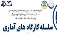 برگزاری سلسله کارگاه های آماری