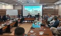نشست معاون تحقیقات و فناوری دانشگاه با شرکت‌ها و واحدهای فناور مستقر در مرکز رشد و پارک علم و فناوری سلامت دانشگاه علوم پزشکی همدان
